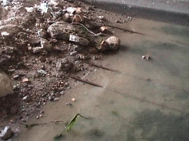 nochmals Reste der Slipanlage