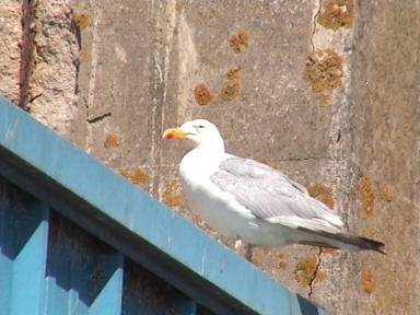 die heutigen Besitzer