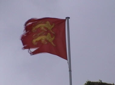 Fahne im Wind